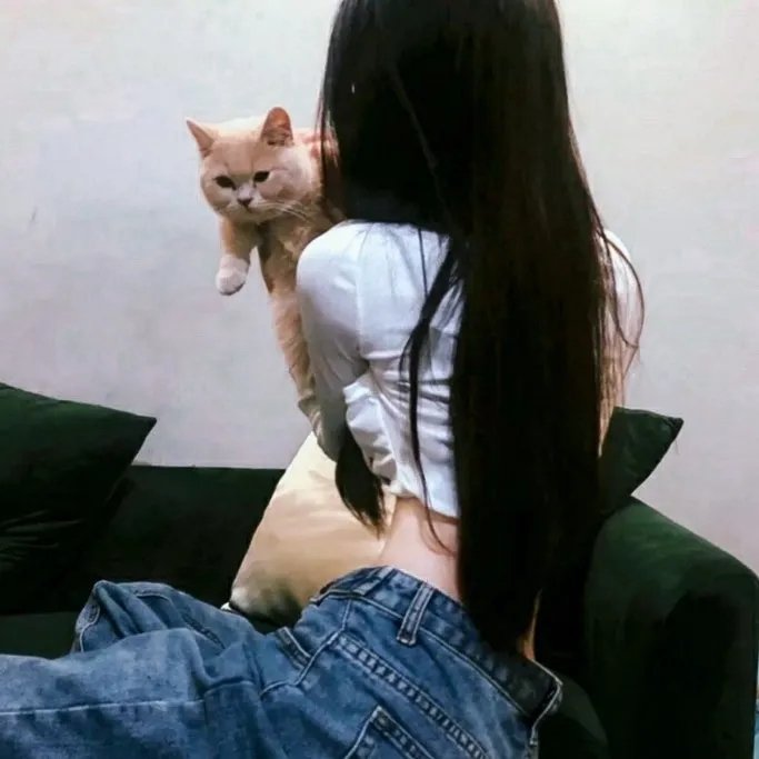 陷入纯情